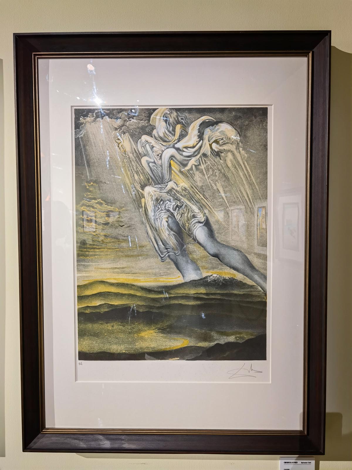 images/art/2021-09-21 萨尔瓦多达利/16.jpg